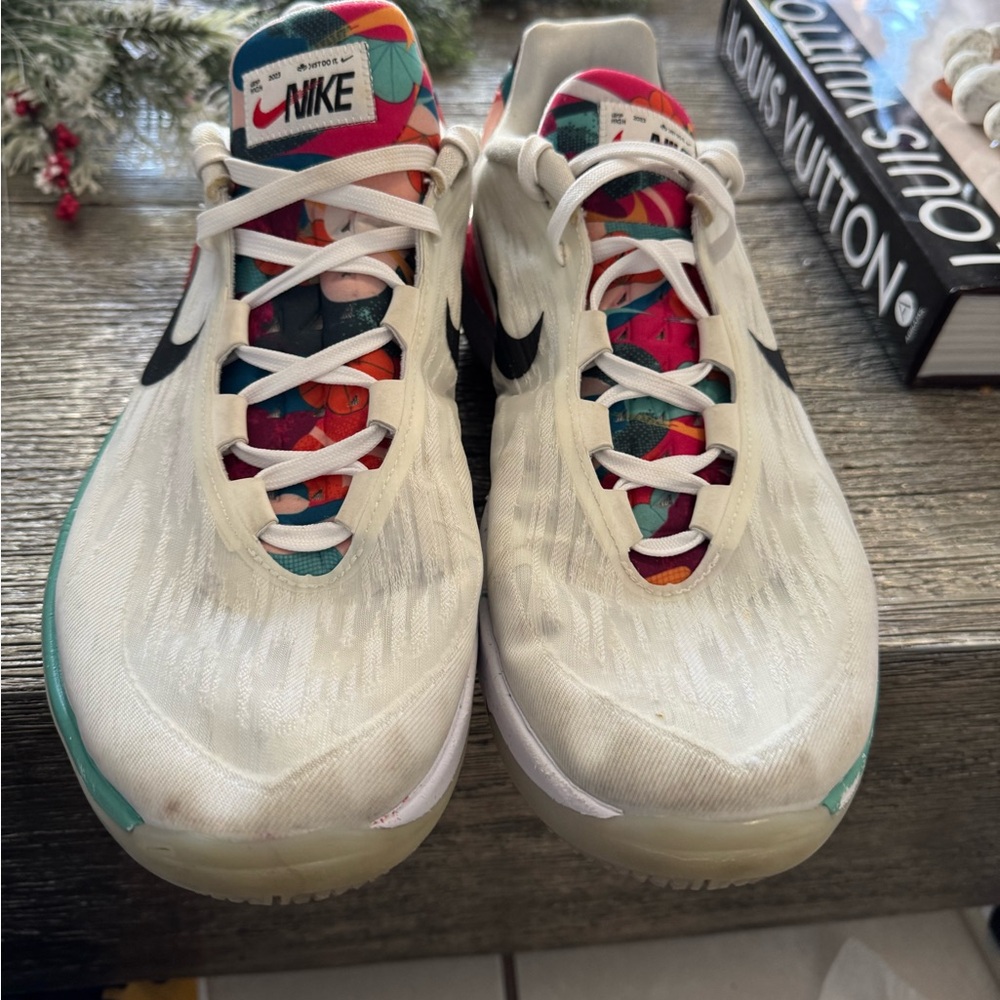 Nike zoom Gt